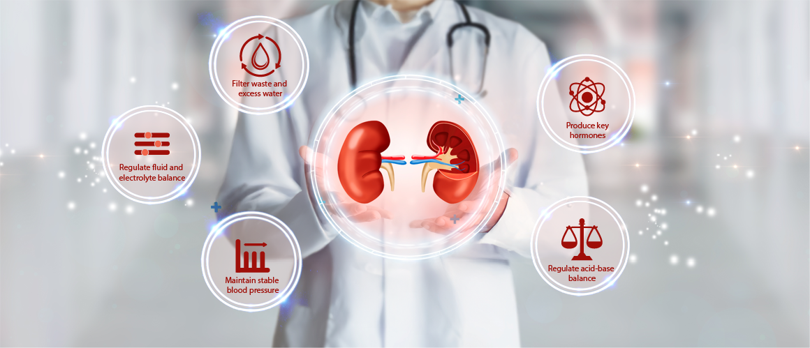  kidneys, chronic kidney disease, kidney function, CKD, kidney testing