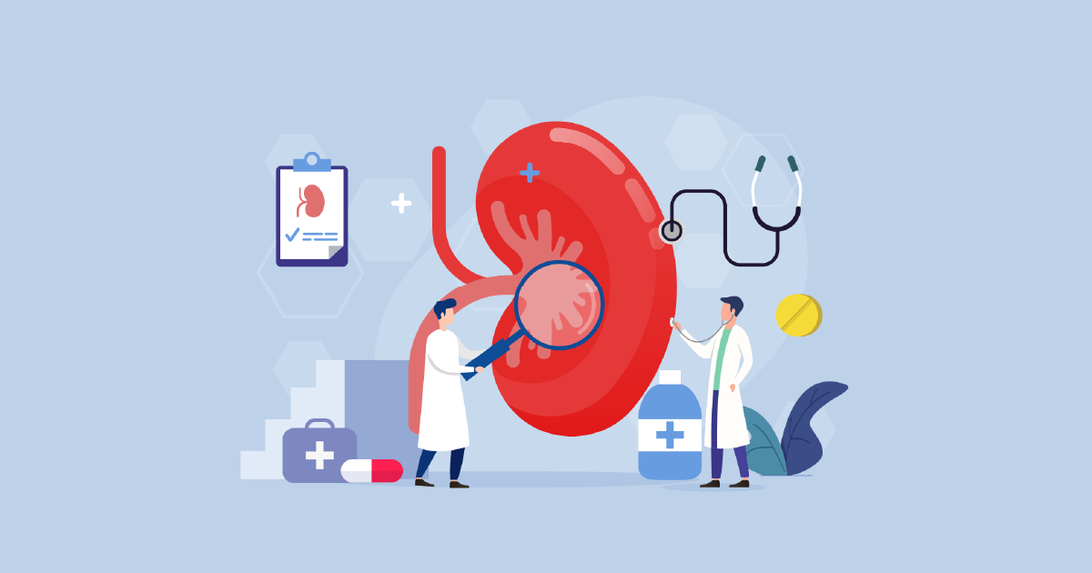  kidneys, chronic kidney disease, kidney function, CKD, kidney testing