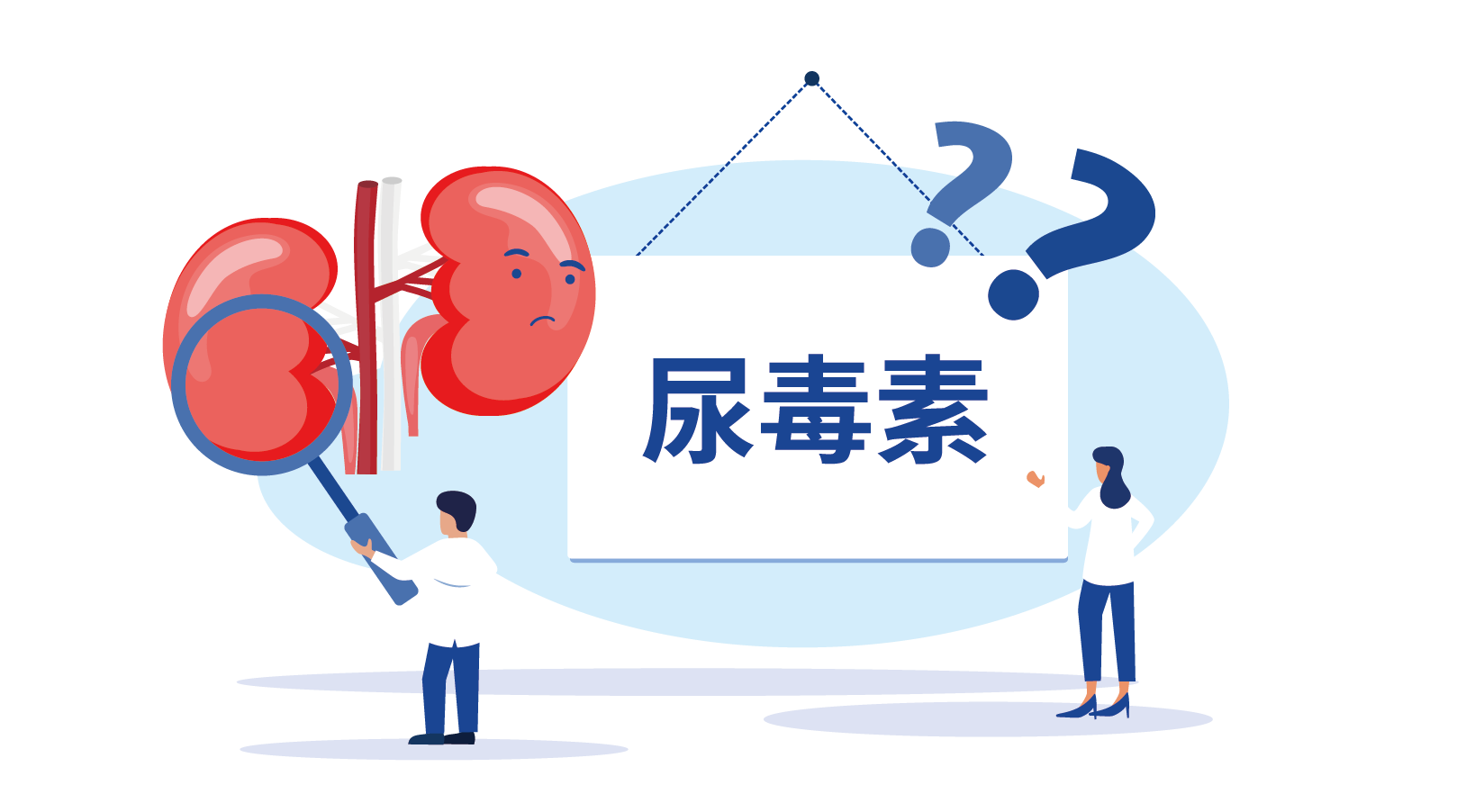 尿毒素,腎功能
