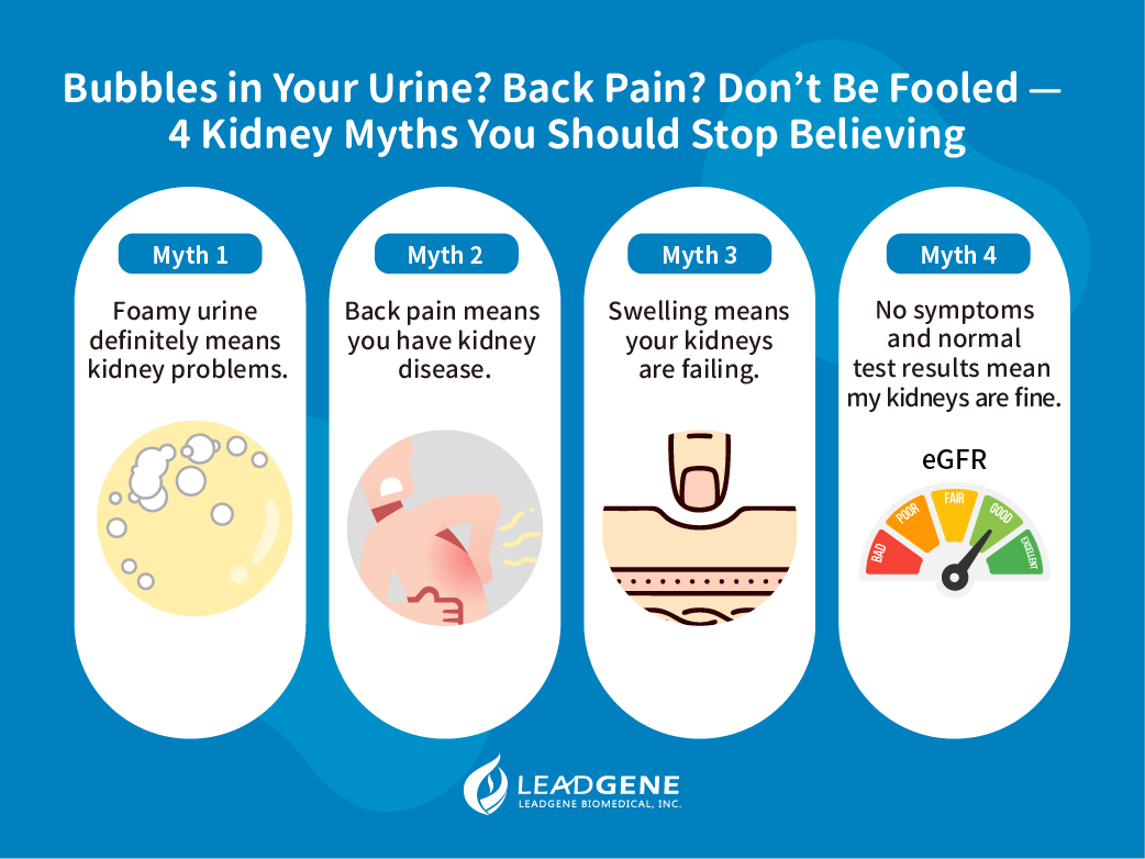 _urine_bubbles_backpain_kidney