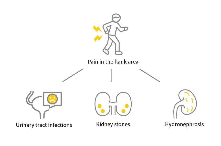 urine_bubbles_backpain_kidney