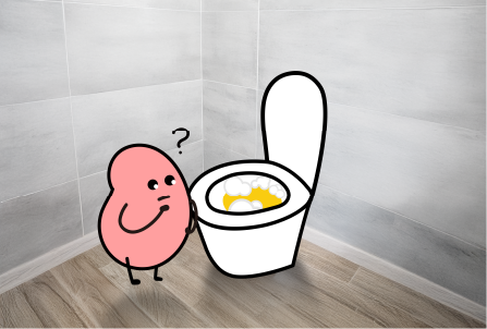 urine_bubbles_backpain_kidney