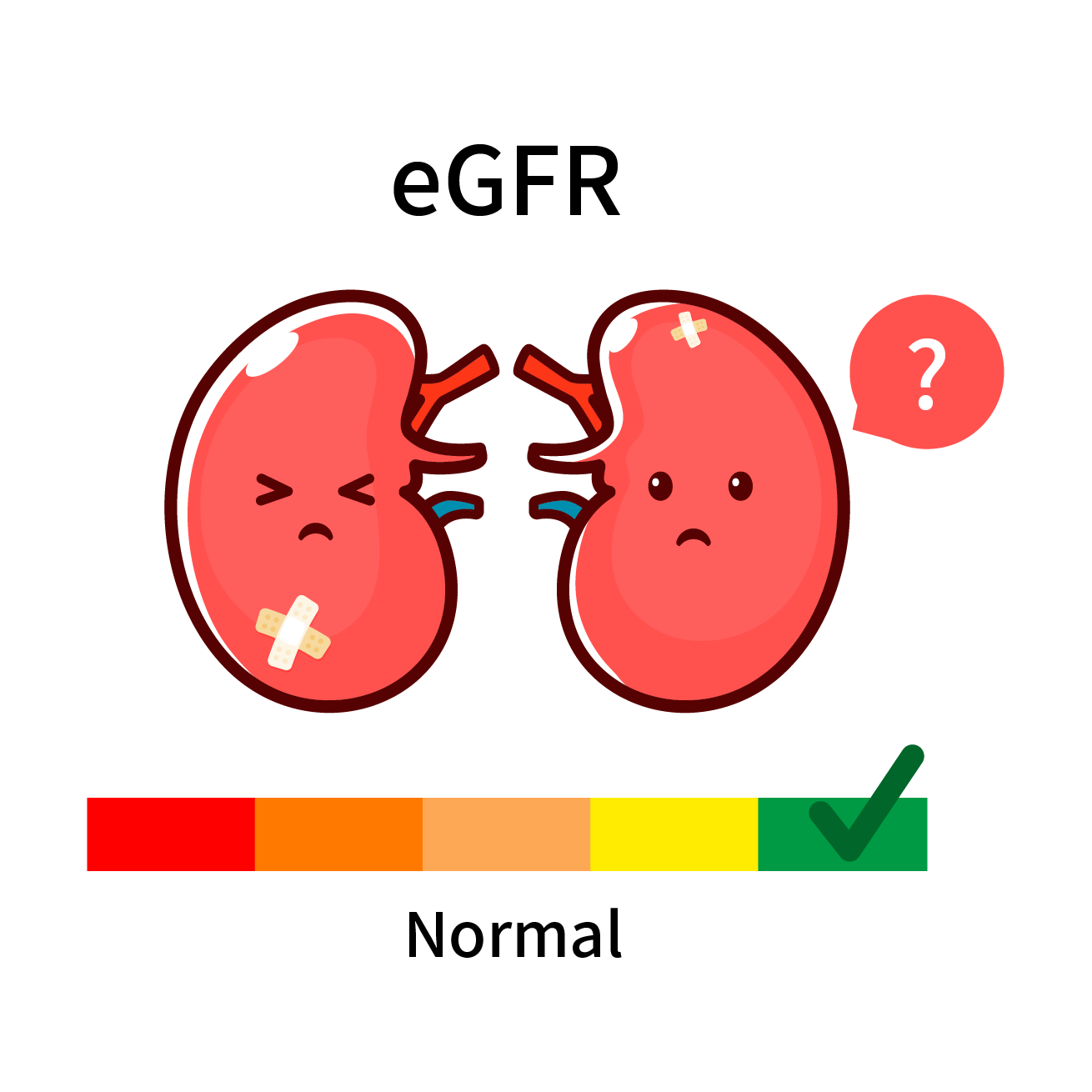 urine_bubbles_backpain_kidney