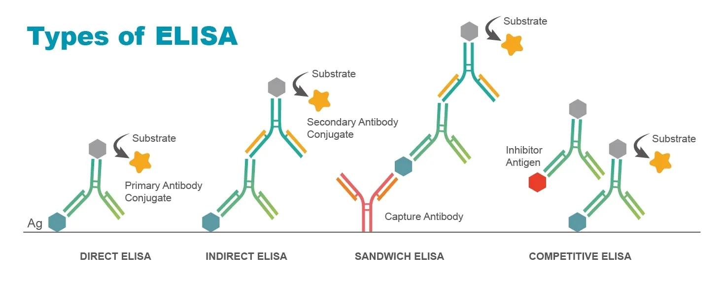 ELISA kit