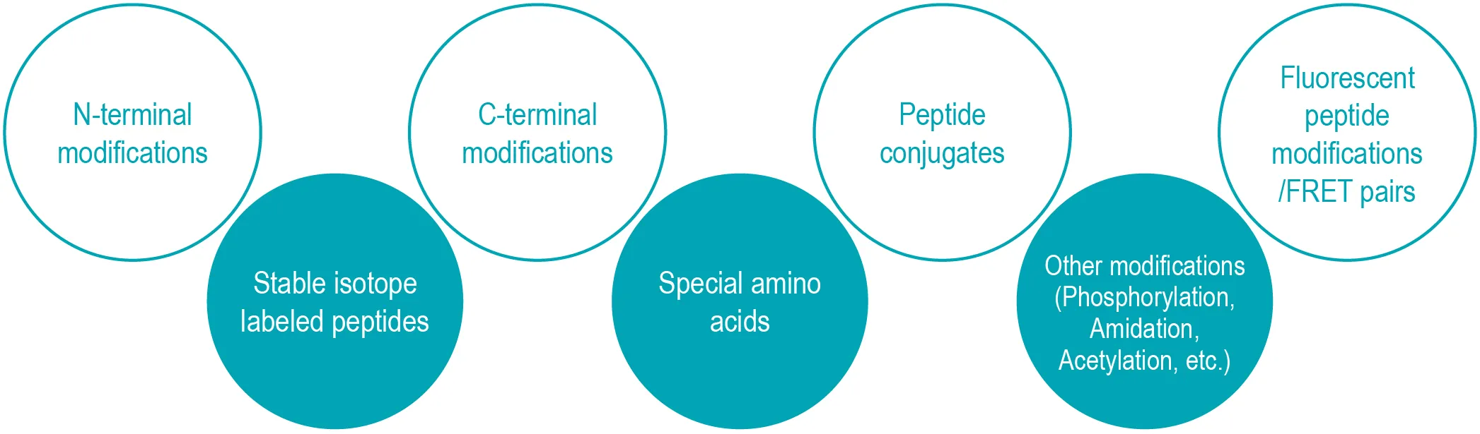 Peptide synthesis and modification service