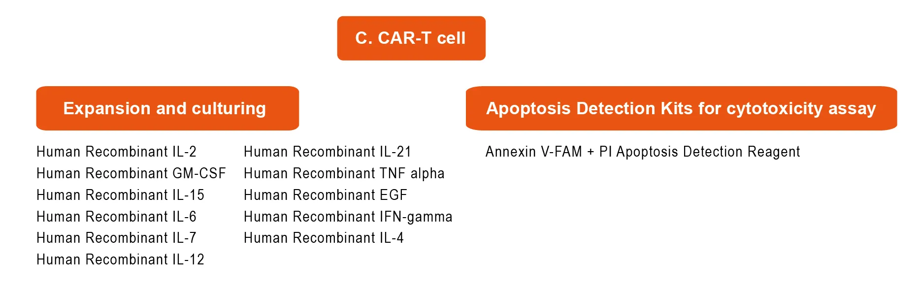 recombinant proteins