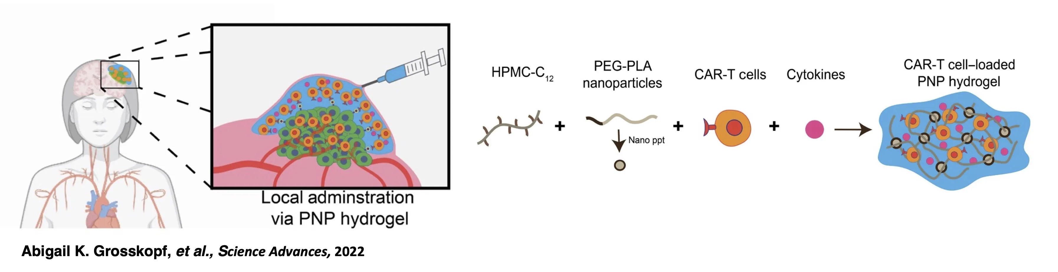 hydrogel