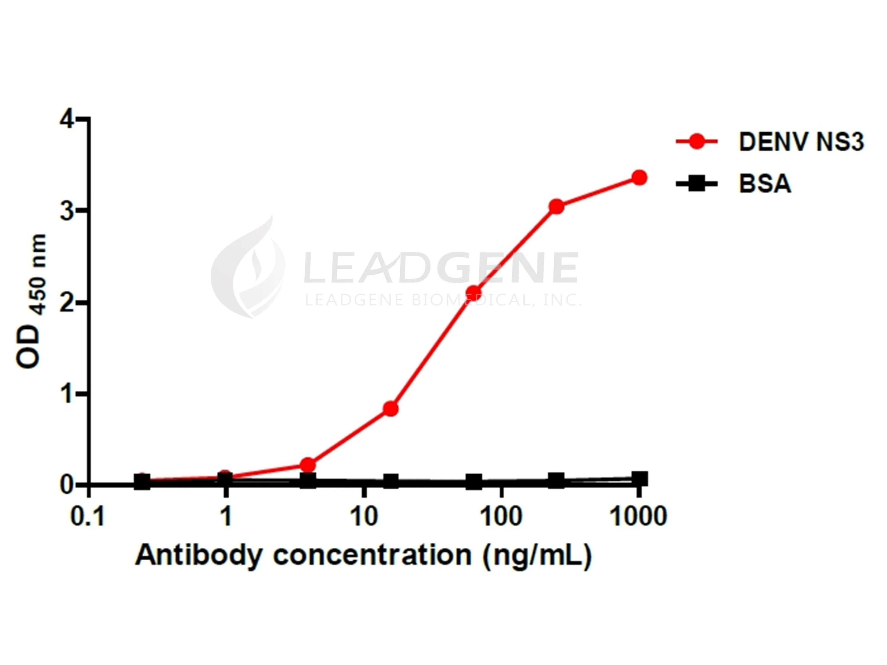 dengue virus