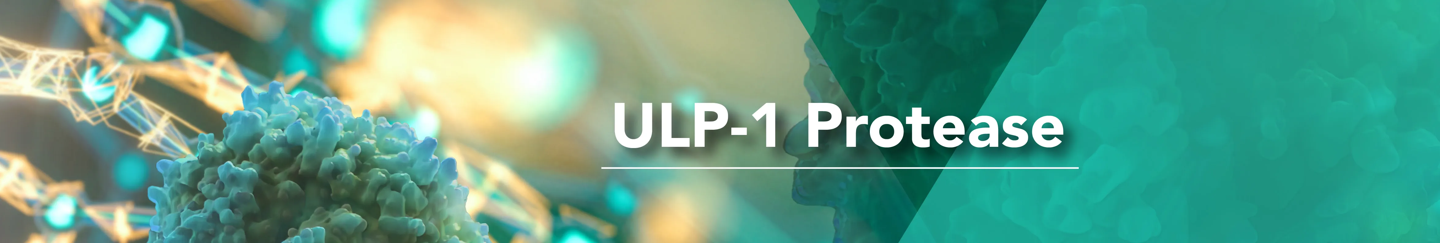 ULP1