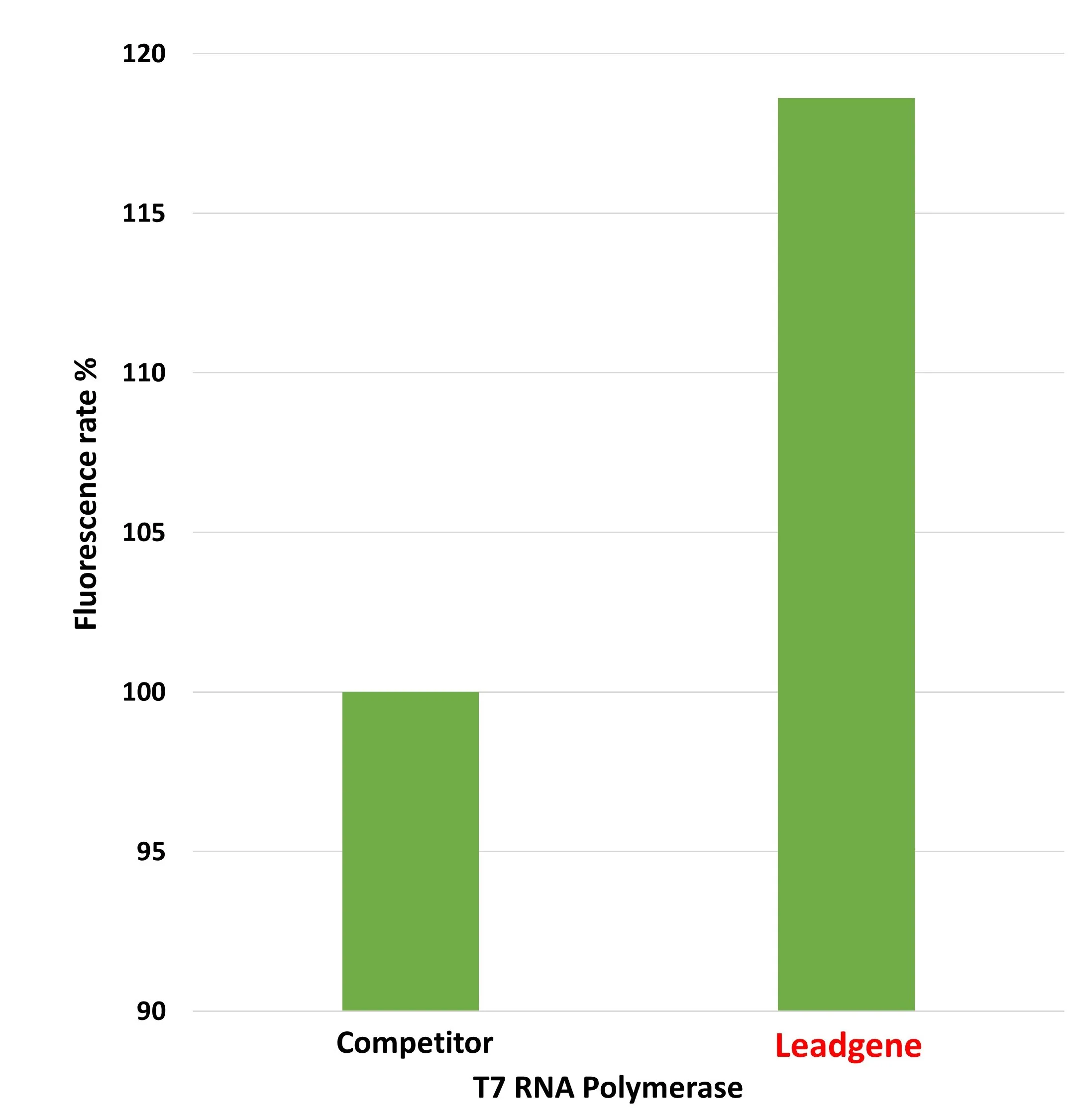 t7 rna polymerase