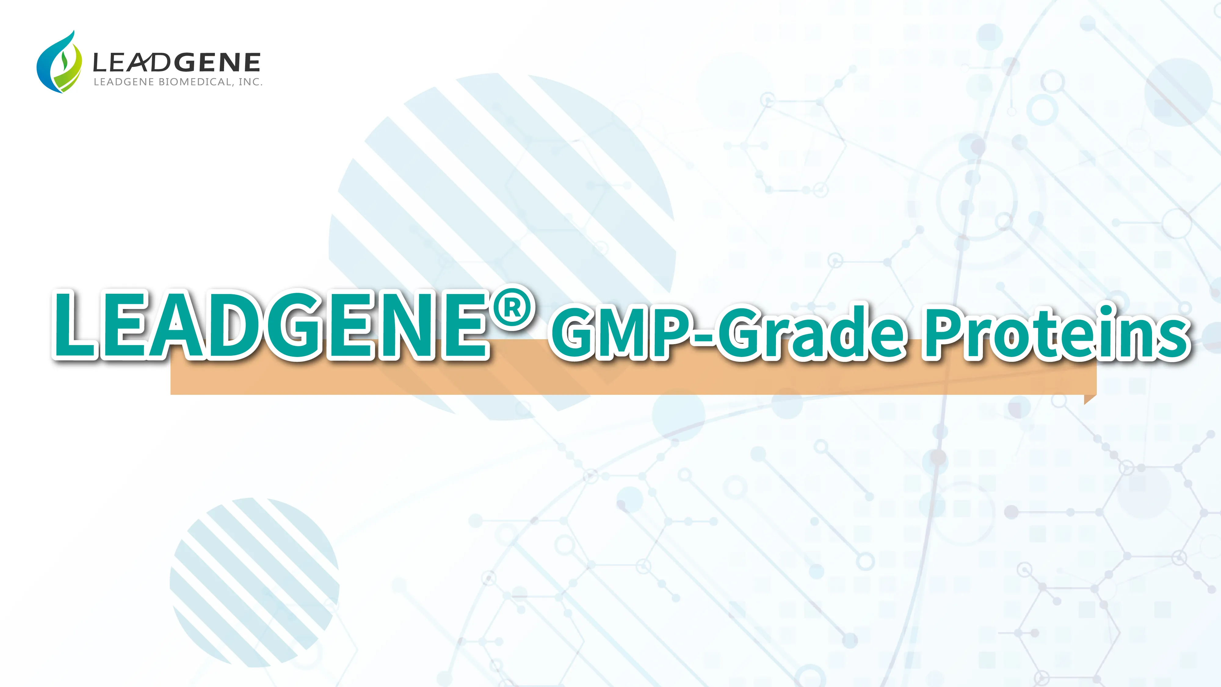 LEADGENE GMP-Grade Proteins