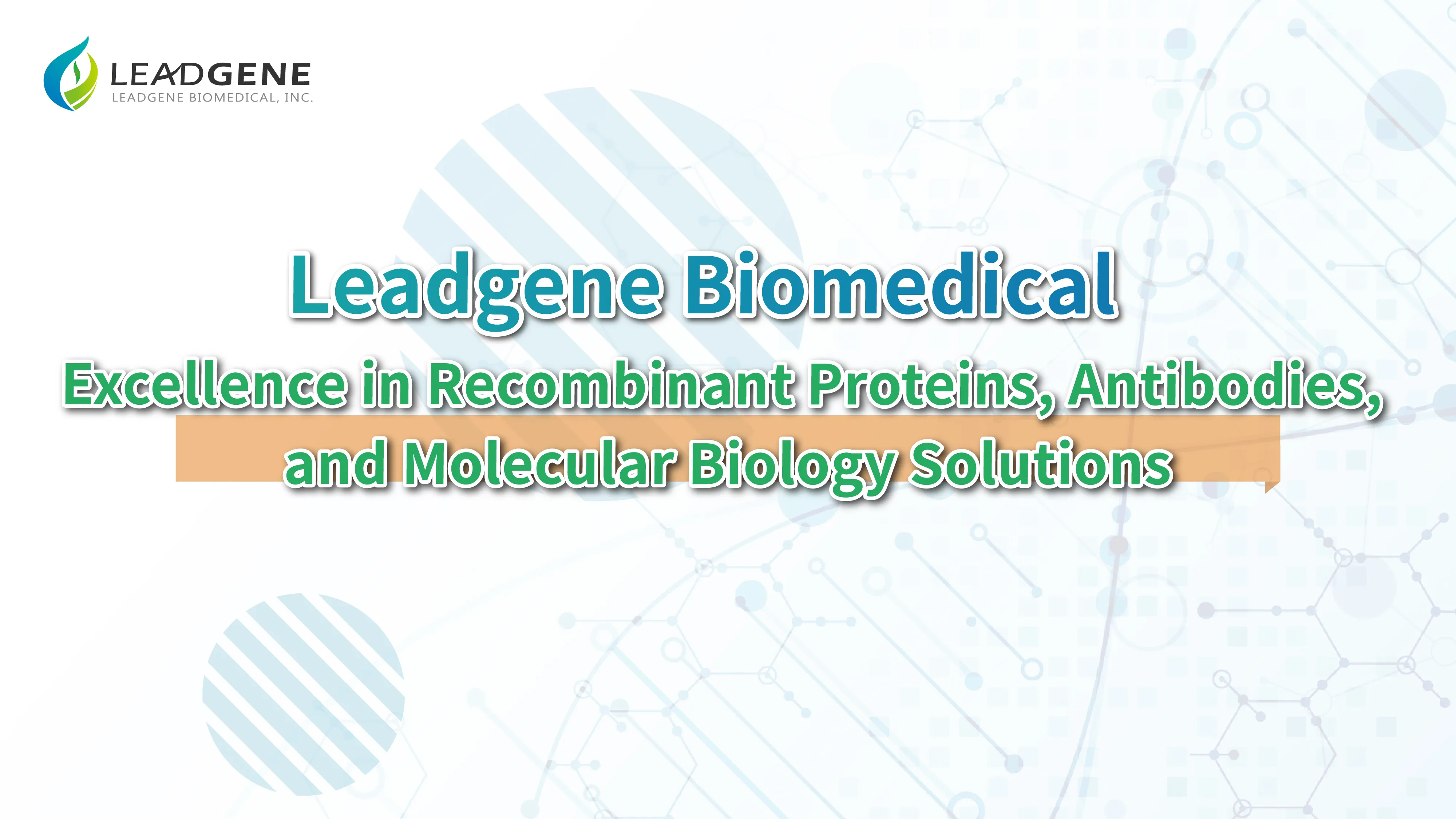 Leadgene Protease