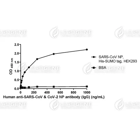 SARS-CoV Nucleocapsid Protein, His-SUMO Tag, HEK293