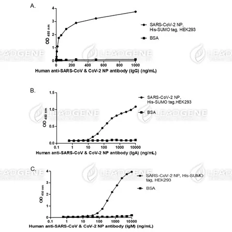 ELISA titration of Human anti-SARS-CoV &amp; CoV-2 NP Antibody (A. IgG; B. IgA; C. IgM antibody).