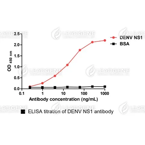 Anti-DENV NS1 Antibody [Clone 1D33]