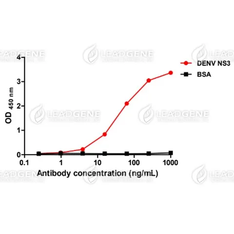 Anti-DENV NS3 Antibody [Clone 15-5]