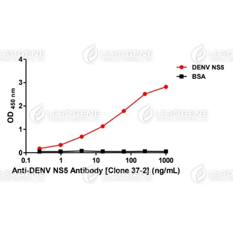 ELISA titration of Anti-DENV NS5 Antibody [Clone 37-2] Titration curve of anti-DENV NS5 antibody in ELISA. Red: NS5; Black: BSA (negative control).