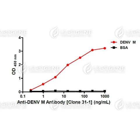 ELISA titration of Anti-DENV M Antibody [Clone 31-1] Titration curve of anti-DENV M antibody in ELISA. Red: DENV M; Black: BSA (negative control).