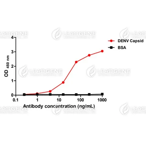 Anti-DENV Capsid Antibody [Clone 25-4]