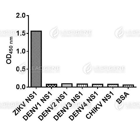 ELISA assay of Anti-ZIKV NS1 Antibody [Clone ZK51] Indirect ELISA analysis was performed by coating a plate with recombinant NS1 protein of ZIKV, CHIKV or DENV and probing with anti-ZIKV NS1 Antibody.