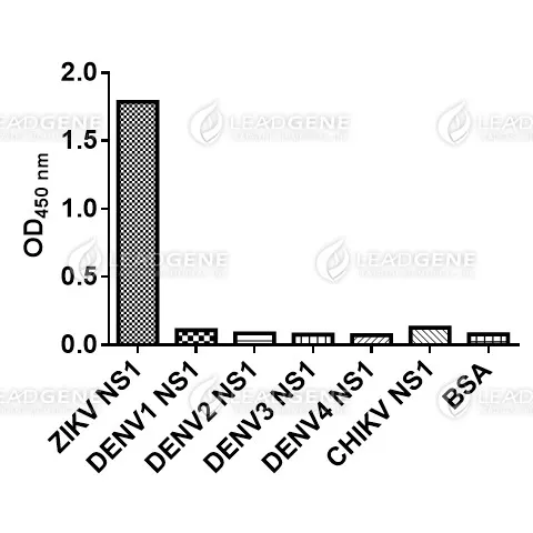 ELISA assay of Anti-ZIKV NS1 Antibody [Clone ZK243] Indirect ELISA analysis was performed by coating a plate with recombinant NS1 protein of ZIKV, CHIKV or DENV and probing with anti-ZIKV NS1 Antibody.