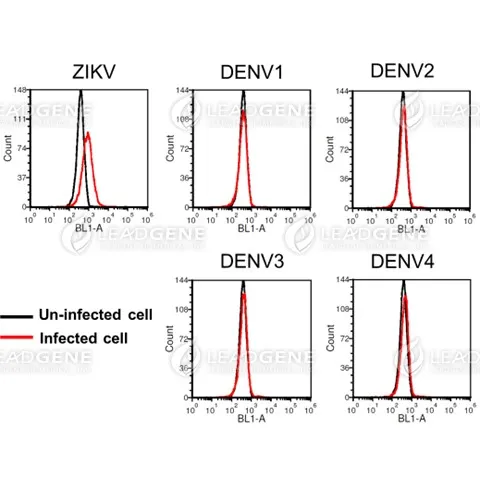 FACS analysis of Anti-ZIKV NS1 Antibody [Clone ZK243] ZIKV or DENV-infected Vero cells were stained with mouse anti-ZIKV NS1 monoclonal antibody at 5 μg/mL (red) and without antibody control (black).