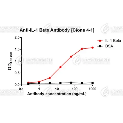 Anti-IL-1 Beta Antibody [Clone 4-1]