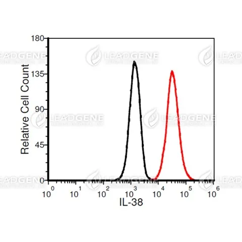 FACS analysis of Anti-IL-38 Antibody [Clone 56-1] A549 cells were stained with mouse anti-IL-38 monoclonal antibody at 2 μg/ml (red) and without antibody control (black).