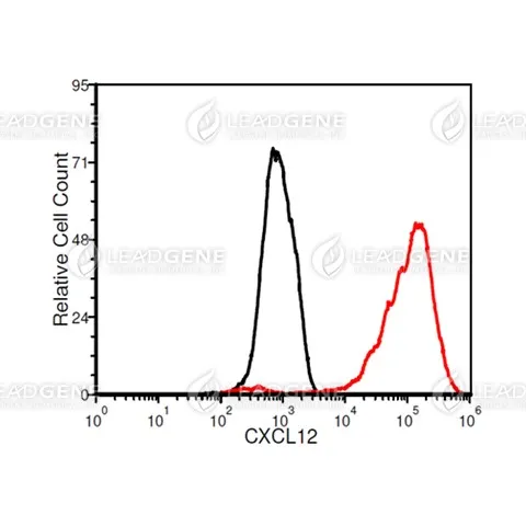 FACS analysis of Anti-CXCL12 Antibody [Clone 69-2] A549 cells were stained with mouse anti-CXCL12 monoclonal antibody at 2 μg/ml (red) and without antibody control (black).