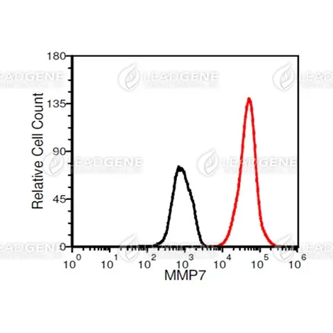 FACS analysis of Anti-MMP7 Antibody [Clone 1-4] A549 cells were stained with mouse anti-MMP7 monoclonal antibody at 2 μg/ml (red) and without antibody control (black).