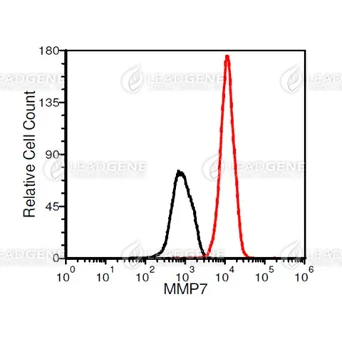 FACS analysis of Anti-MMP7 Antibody [Clone 20-9] A549 cells were stained with mouse anti-MMP7 monoclonal antibody at 2 μg/ml (red) and without antibody control (black).