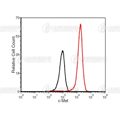 FACS analysis of Anti-c-Met Antibody [Clone 4A9] MCF-7 cells were stained with anti-c-Met monoclonal antibody at 2 μg/ml (red) and without antibody control (black).