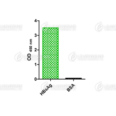 Anti-HBsAg Antibody [Clone 2H11]