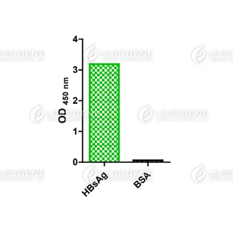 Anti-HBsAg Antibody [Clone 3D5]