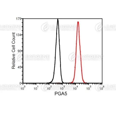 FACS analysis of Anti-PGA5 Antibody [Clone 85-5] K562 cells were stained with mouse anti-PGA5 monoclonal antibody at 2 μg/ml (red) and without antibody control (black).