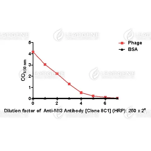Anti-M13 Antibody [Clone 8C1] (HRP)