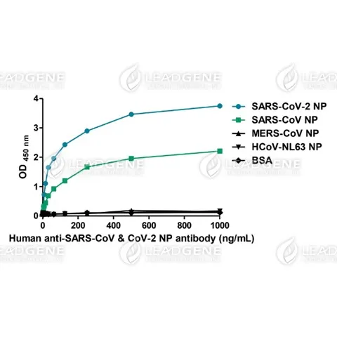 ELISA titration of Human anti-SARS-CoV &amp; CoV-2 NP Antibody (IgG)