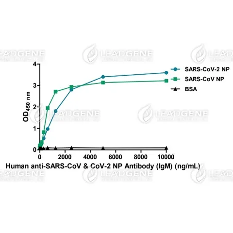 Anti-SARS-CoV & CoV-2 NP IgM Antibody