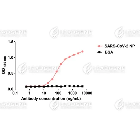 Anti-SARS-CoV & CoV-2 NP IgA Antibody