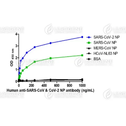 ELISA titration of Human anti-SARS-CoV &amp; CoV-2 NP Antibody (IgG)