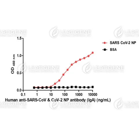 ELISA titration of Human anti-SARS-CoV &amp; CoV-2 NP Antibody (IgA)