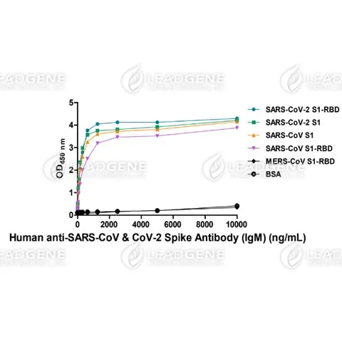Anti-SARS-CoV & CoV-2 Spike IgM Antibody [Clone CR3022]