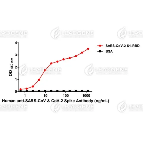 Anti-SARS-CoV & CoV-2 Spike IgA Antibody [Clone CR3022]