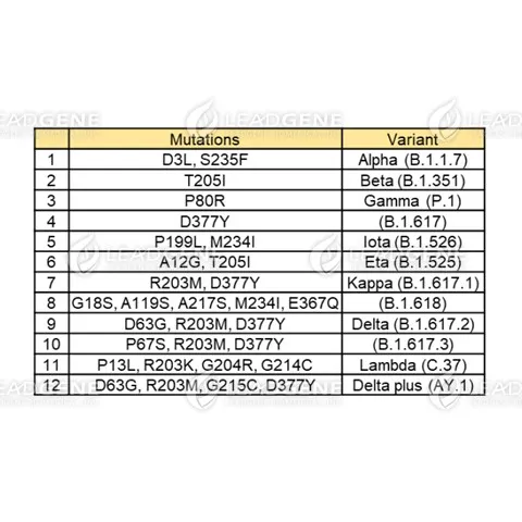 Recognition of mutant coronavirus nucleocapsid proteins. Recognize SARS-CoV &amp; CoV-2 NP in Lateral Flow, when monoclonal antibody was paired with Human anti-SARS-CoV &amp; CoV-2 NP Antibody (IgG) (LDG0076YA). Recognize SARS-CoV &amp; CoV-2 NP in ELISA, when monoclonal antibody was paired with Mouse anti-SARS-CoV &amp; CoV-2 NP mAb, clone 109-5 (LDG0084YA).