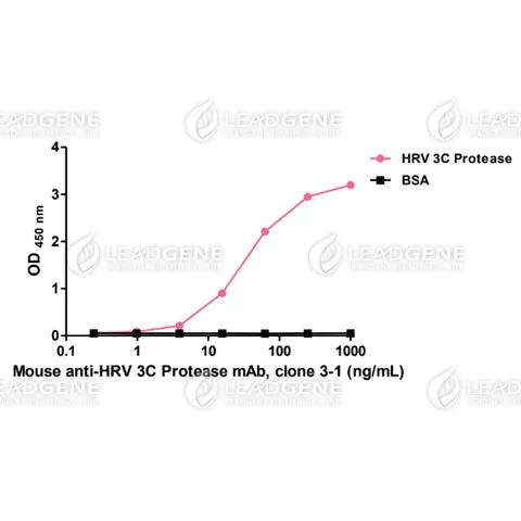 Anti-HRV 3C Protease Antibody [Clone 3-1]