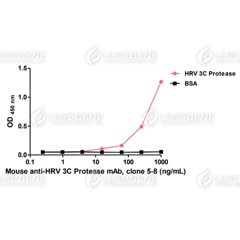 Anti-HRV 3C Protease Antibody [Clone 5-8]