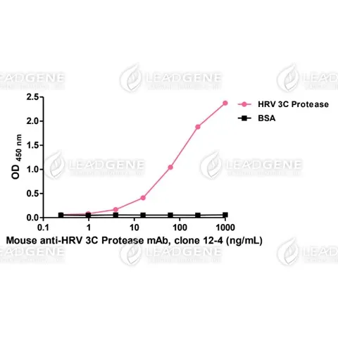 Anti-HRV 3C Protease Antibody [Clone 12-4]