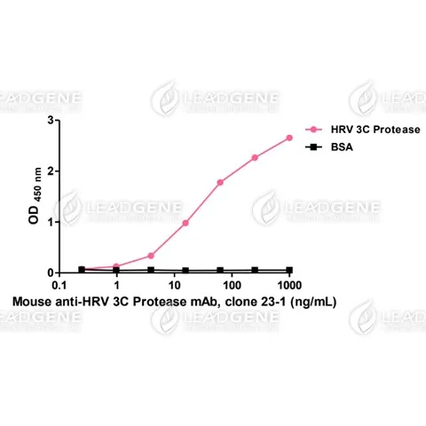 Anti-HRV 3C Protease Antibody [Clone 23-1]