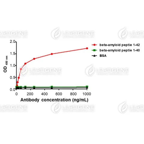 Anti-β-amyloid Antibody [Clone 85-1]