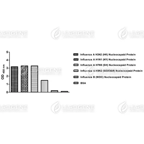 ELISA assay of Anti-Influenza A virus NP Antibody [clone IA02]